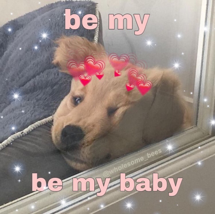 be my @wholesome_bees be my baby