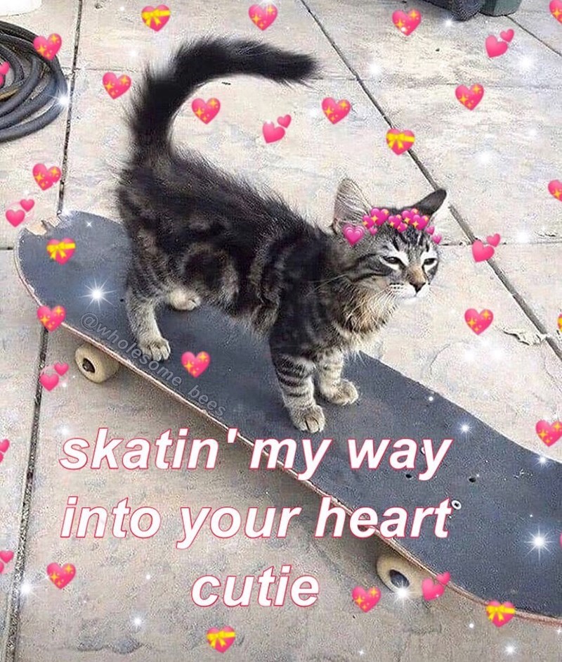 @wholesome bees skatin' my way into your heart cutie