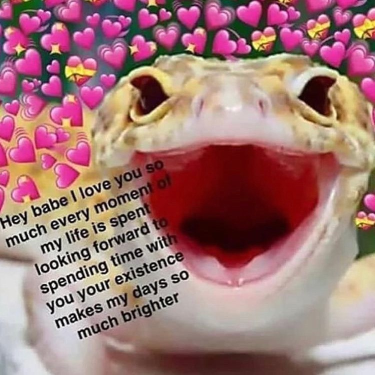 Hey babe I love you so much every moment of my life is spent looking forward to spending time with you your existence makes my days so much brighter