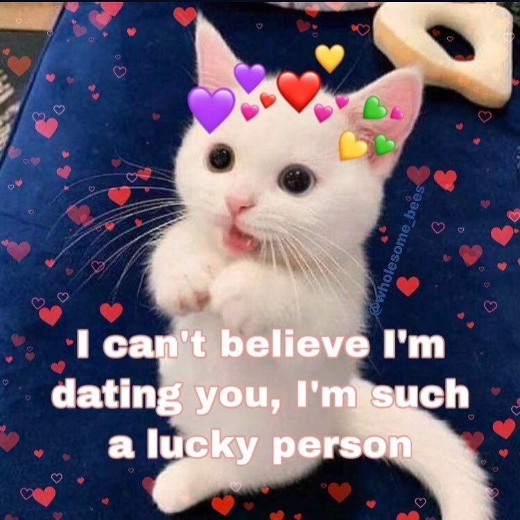 wholesome_bees 3 I can't believe I'm dating you, I'm such a lucky person