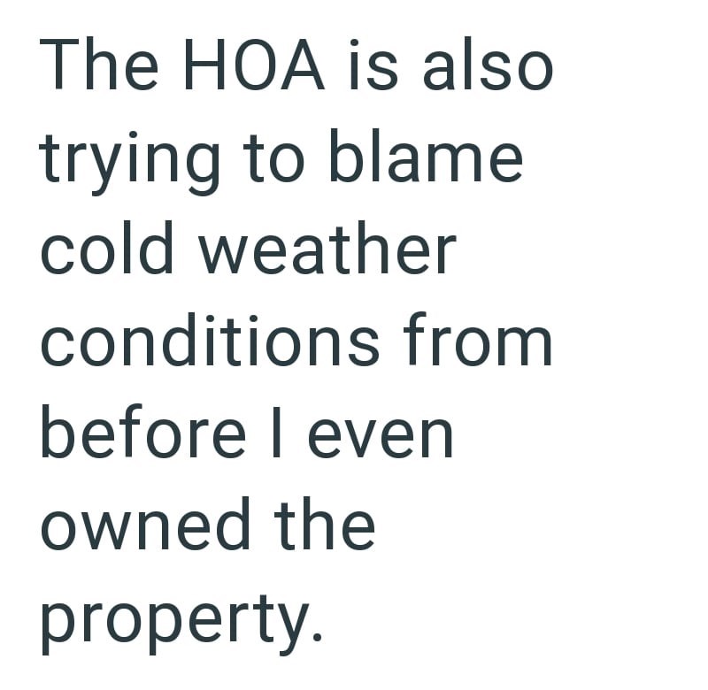 The HOA is also trying to blame cold weather conditions from before I even owned the property.