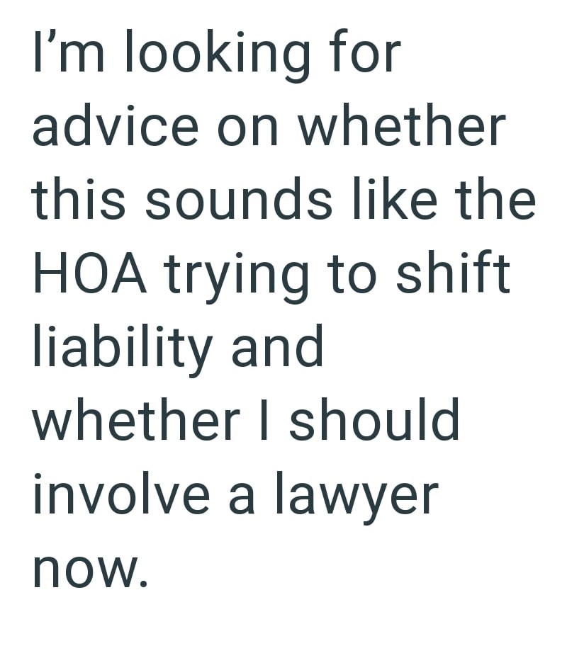 I'm looking for advice on whether this sounds like the HOA trying to shift liability and whether I should involve a lawyer now.