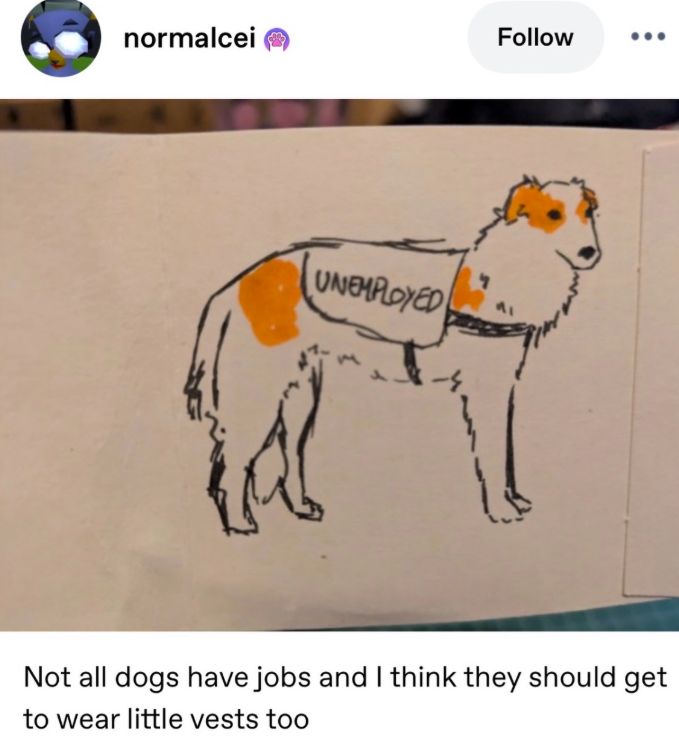 normalcei Follow UNEMPLOYED Not all dogs have jobs and I think they should get to wear little vests too