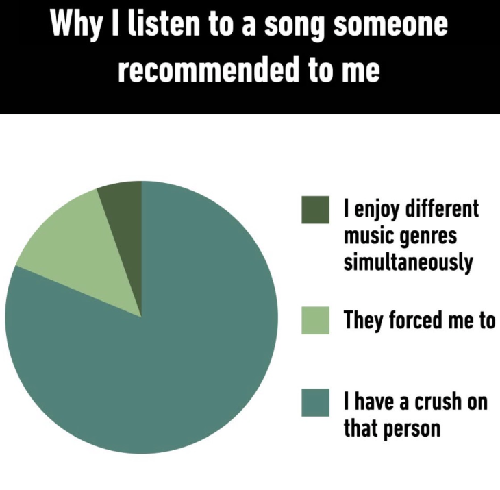 Why I listen to a song someone recommended to me I enjoy different music genres simultaneously They forced me to I have a crush on that person