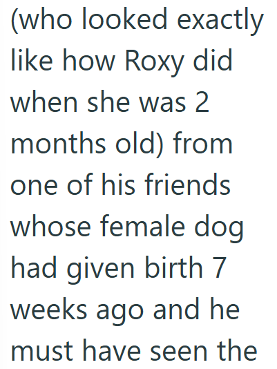 (who looked exactly like how Roxy did when she was 2 months old) from one of his friends whose female dog had given birth 7 weeks ago and he must have seen the