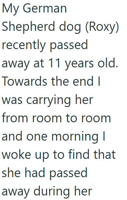 My German Shepherd dog (Roxy) recently passed away at 11 years old. Towards the end I was carrying her from room to room and one morning I woke up to find that she had passed away during her