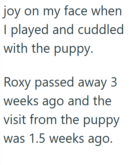 joy on my face when I played and cuddled with the puppy. Roxy passed away 3 weeks ago and the visit from the puppy was 1.5 weeks ago.