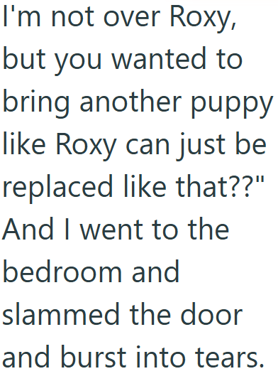 I'm not over Roxy, but you wanted to bring another puppy like Roxy can just be replaced like that??" And I went to the bedroom and slammed the door and burst into tears.