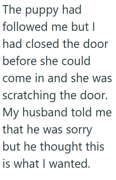 The puppy had followed me but I had closed the door before she could come in and she was scratching the door. My husband told me that he was sorry but he thought this is what I wanted.