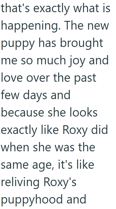 that's exactly what is happening. The new puppy has brought me so much joy and love over the past few days and because she looks exactly like Roxy did when she was the same age, it's like reliving Roxy's puppyhood and