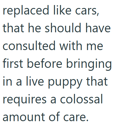 replaced like cars, that he should have consulted with me first before bringing in a live puppy that requires a colossal amount of care.