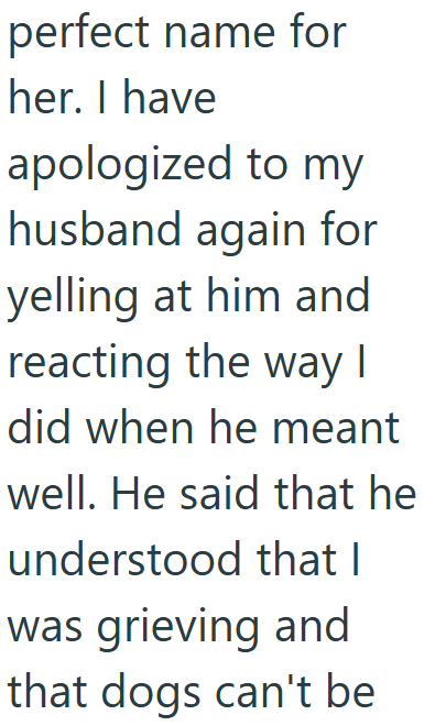 perfect name for her. I have apologized to my husband again for yelling at him and reacting the way I did when he meant well. He said that he understood that I was grieving and that dogs can't be