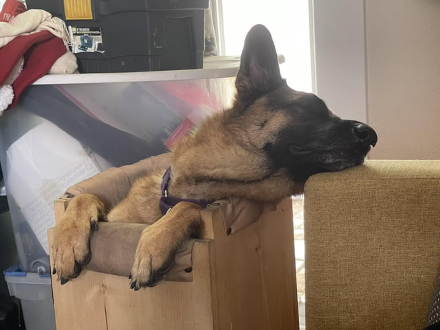 Cheezburger Image 10616904192