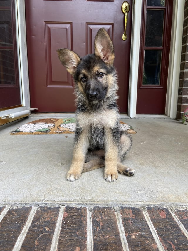 Cheezburger Image 10616905472