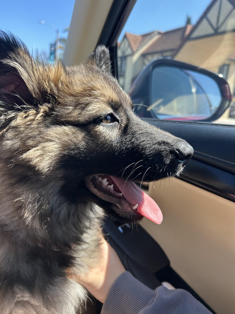 Cheezburger Image 10616905728