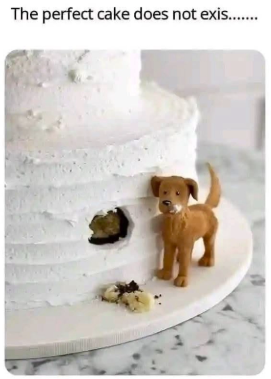 The perfect cake does not exis........