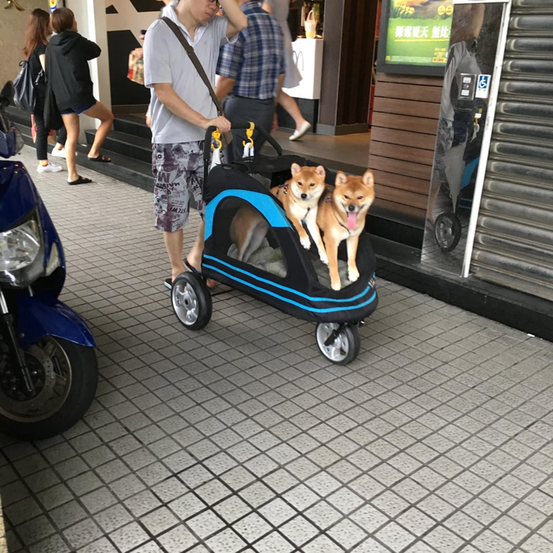 MBIS ee 『無案夏天 無地