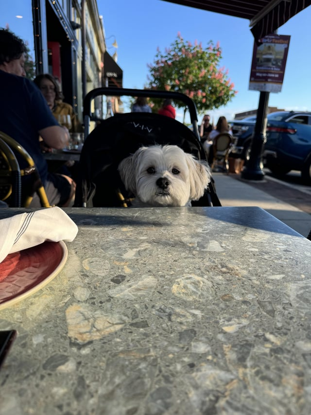 Cheezburger Image 10616908544