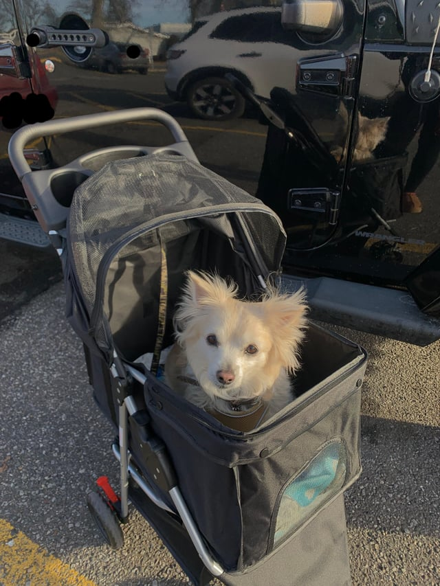 Cheezburger Image 10616908800