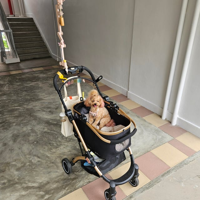 Cheezburger Image 10616909312