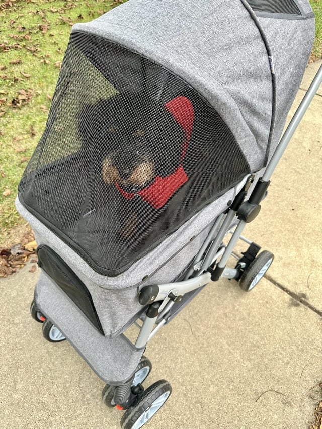 Cheezburger Image 10616909568