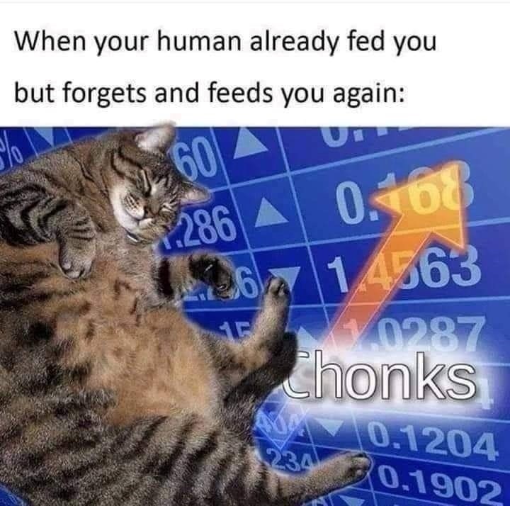 When your human already fed you but forgets and feeds you again: 60 286 0.168 2614563 15 0287 Chonks 404 0.1204 234 0.1902