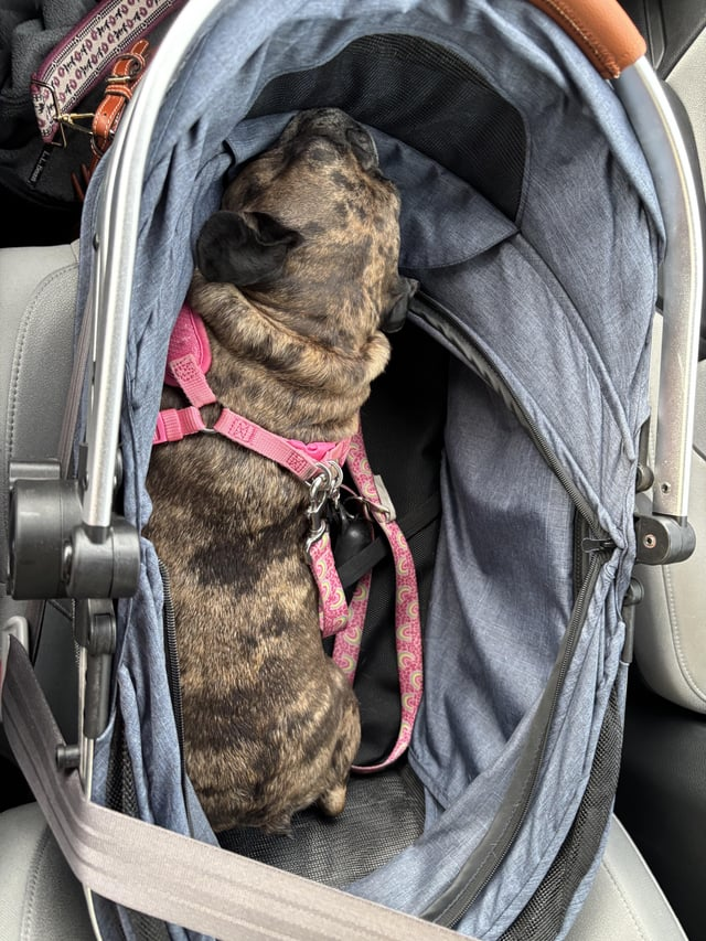 Ко-10 010-10 010-10 с