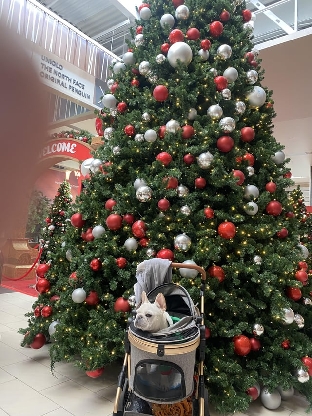 UNIQLO THE NORTH FACE ORIGINAL PENGUIN ELCOME