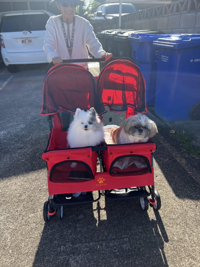 WKA 685 CUPETS Cl 06 05091