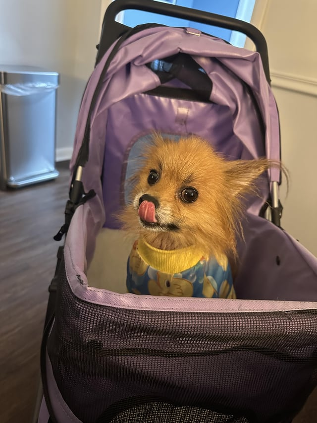 Cheezburger Image 10616913664