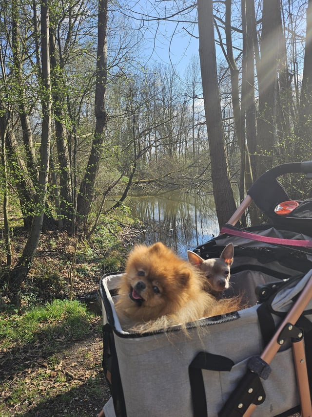 Cheezburger Image 10616914176