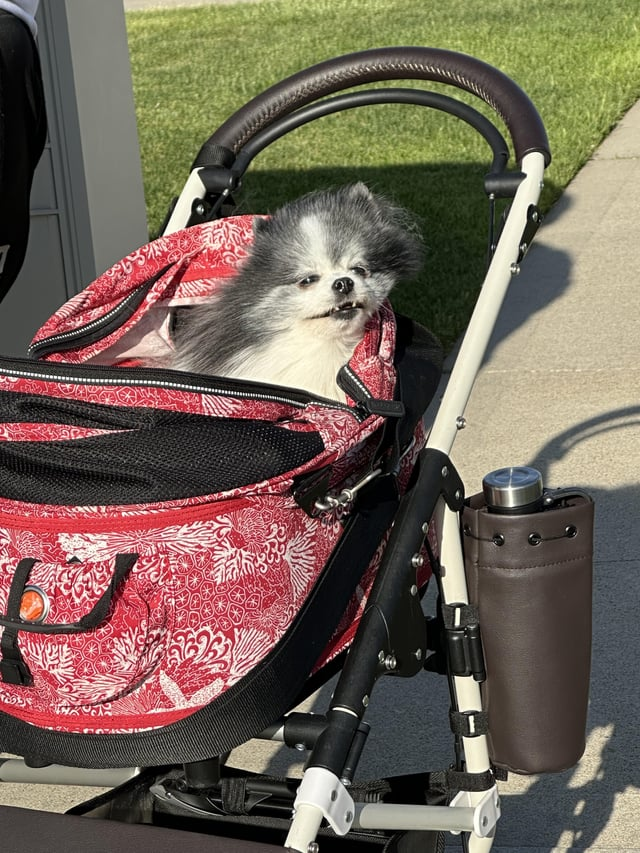 Cheezburger Image 10616914944