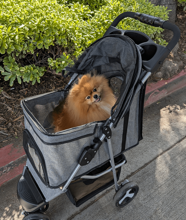 Cheezburger Image 10616915712