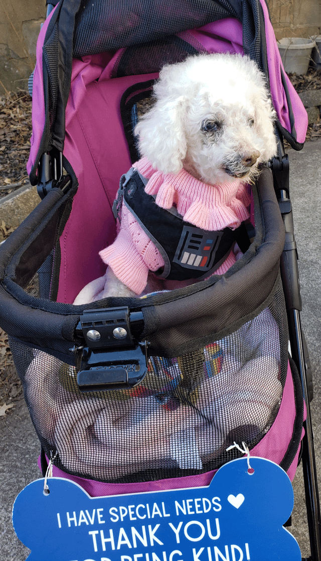 E I HAVE SPECIAL NEEDS THANK YOU BEING KINDI