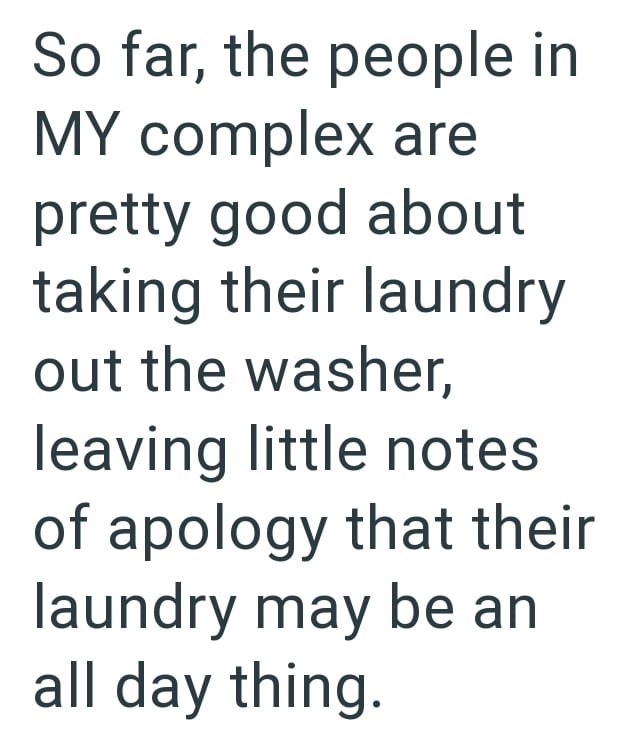 So far, the people in MY complex are pretty good about taking their laundry out the washer, leaving little notes of apology that their laundry may be an all day thing.