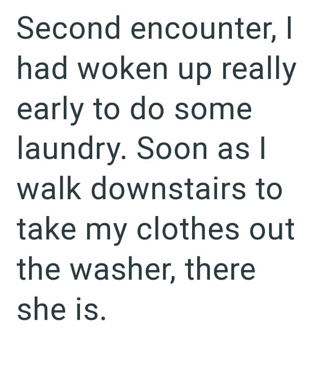 Second encounter, I had woken up really early to do some laundry. Soon as I walk downstairs to take my clothes out the washer, there she is.