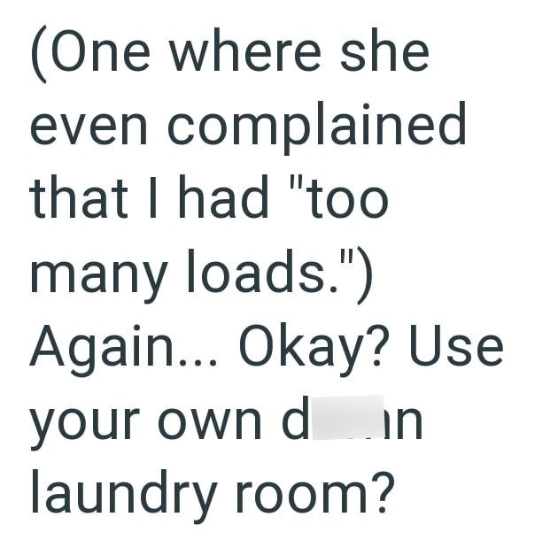 (One where she even complained that I had "too many loads.") Again... Okay? Use your own din laundry room?