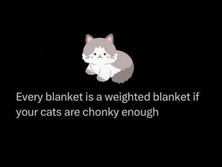 Every blanket is a weighted blanket if your cats are chonky enough