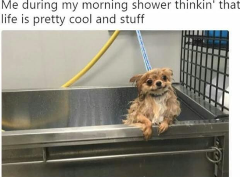 Me during my morning shower thinkin' that life is pretty cool and stuff