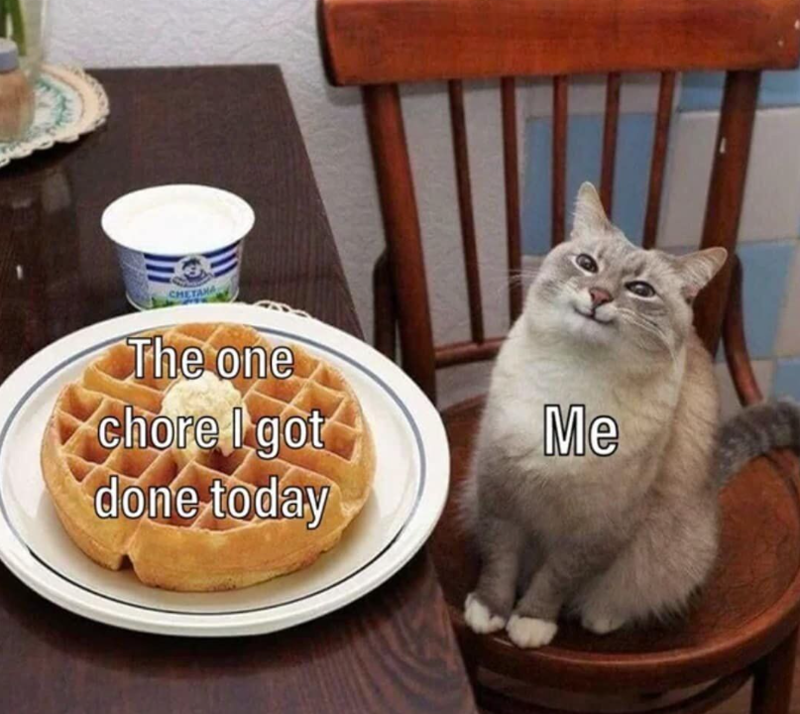 The one chore I got Me done today