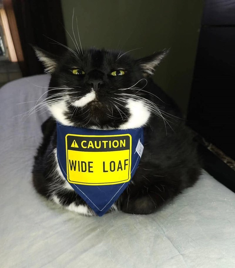A CAUTION WIDE LOAF