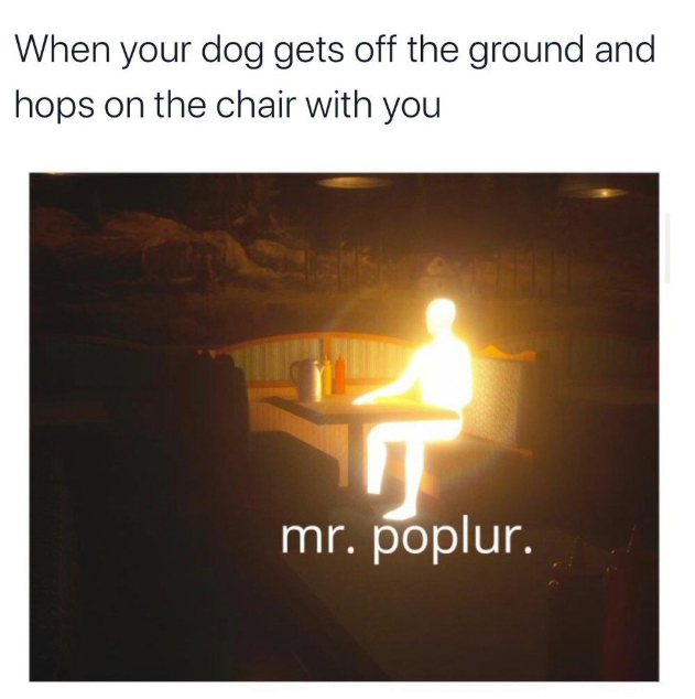 When your dog gets off the ground and hops on the chair with you T mr. poplur.