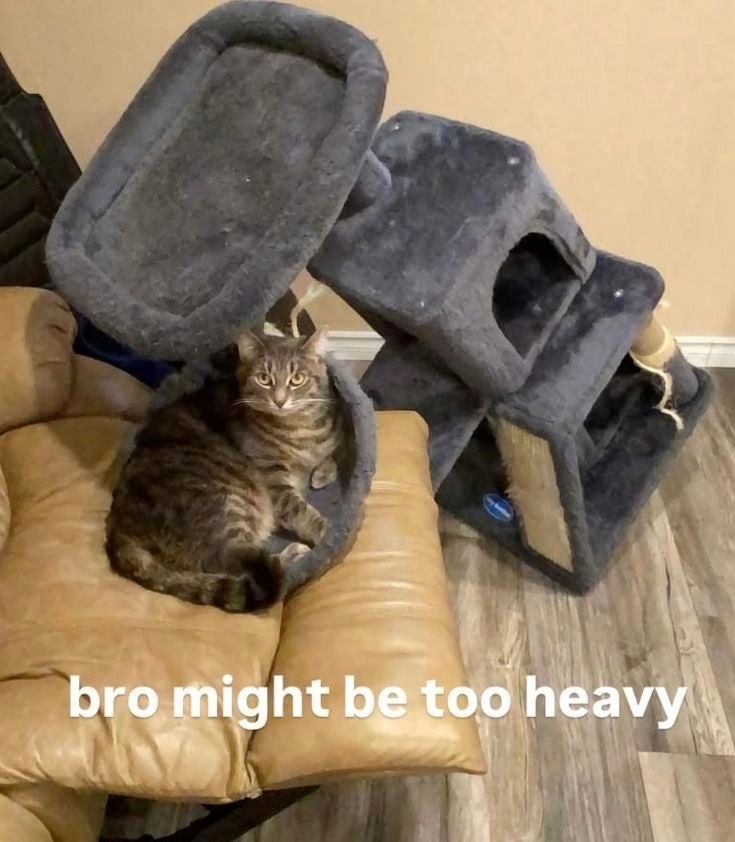 bro might be too heavy