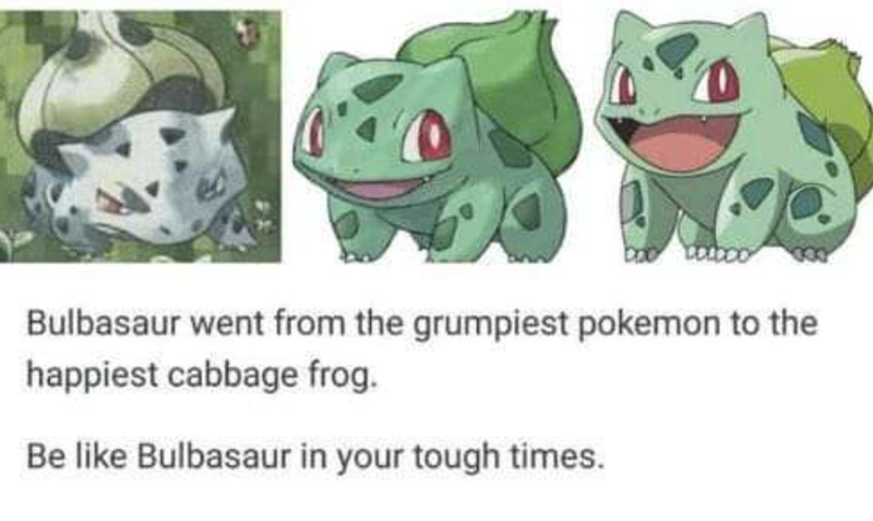 Bulbasaur went from the grumpiest pokemon to the happiest cabbage frog. Be like Bulbasaur in your tough times.