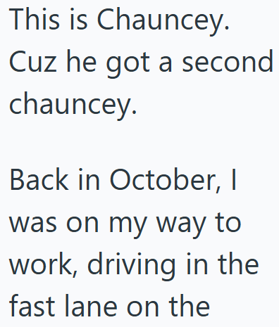 This is Chauncey. Cuz he got a second chauncey. Back in October, I was on my way to work, driving in the fast lane on the