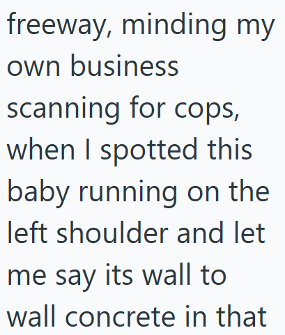 freeway, minding my own business scanning for cops, when I spotted this baby running on the left shoulder and let me say its wall to wall concrete in that