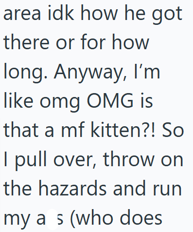 area idk how he got there or for how long. Anyway, I'm like omg OMG is that a mf kitten?! So I pull over, throw on the hazards and run my as (who does