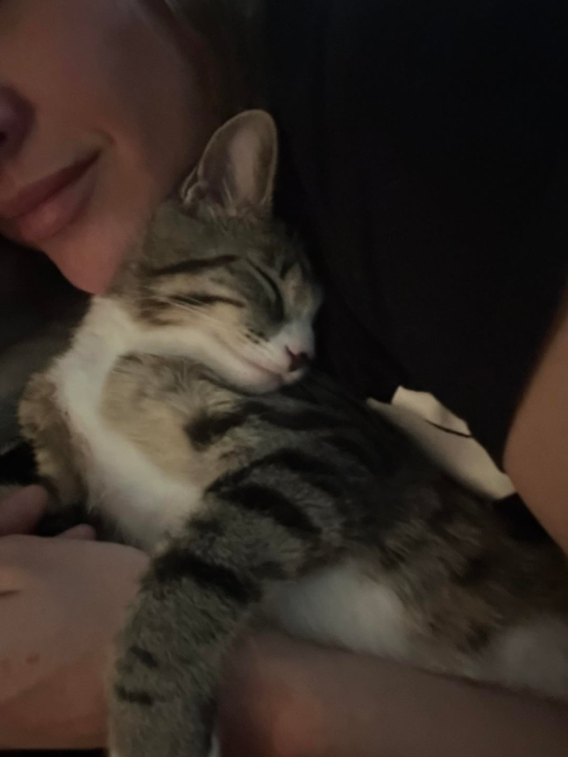 Cheezburger Image 10616938240