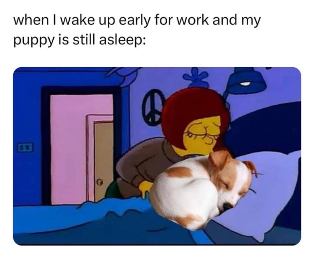 when I wake up early for work and my puppy is still asleep: e