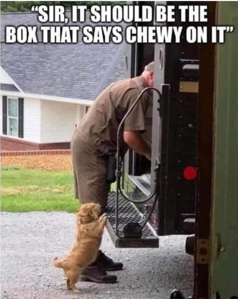 "SIR, IT SHOULD BE THE BOX THAT SAYS CHEWY ON IT"